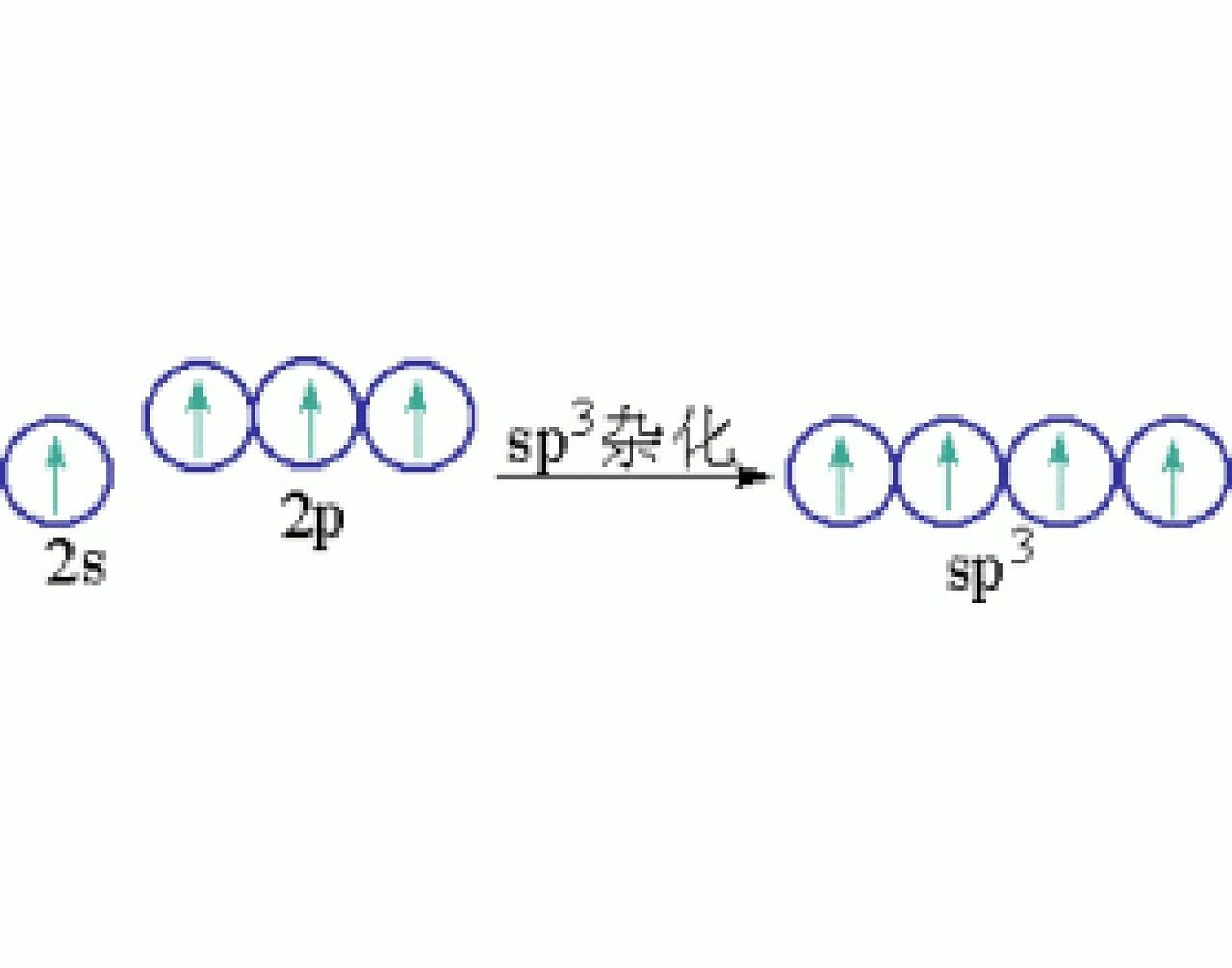 sp轨道杂化示意图图片