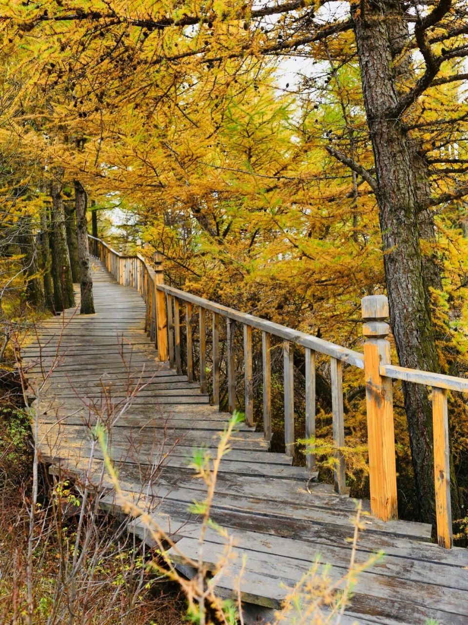 北京周边国庆游 | 小众森林徒步苏木山攻略 苏木山在内蒙乌兰察布