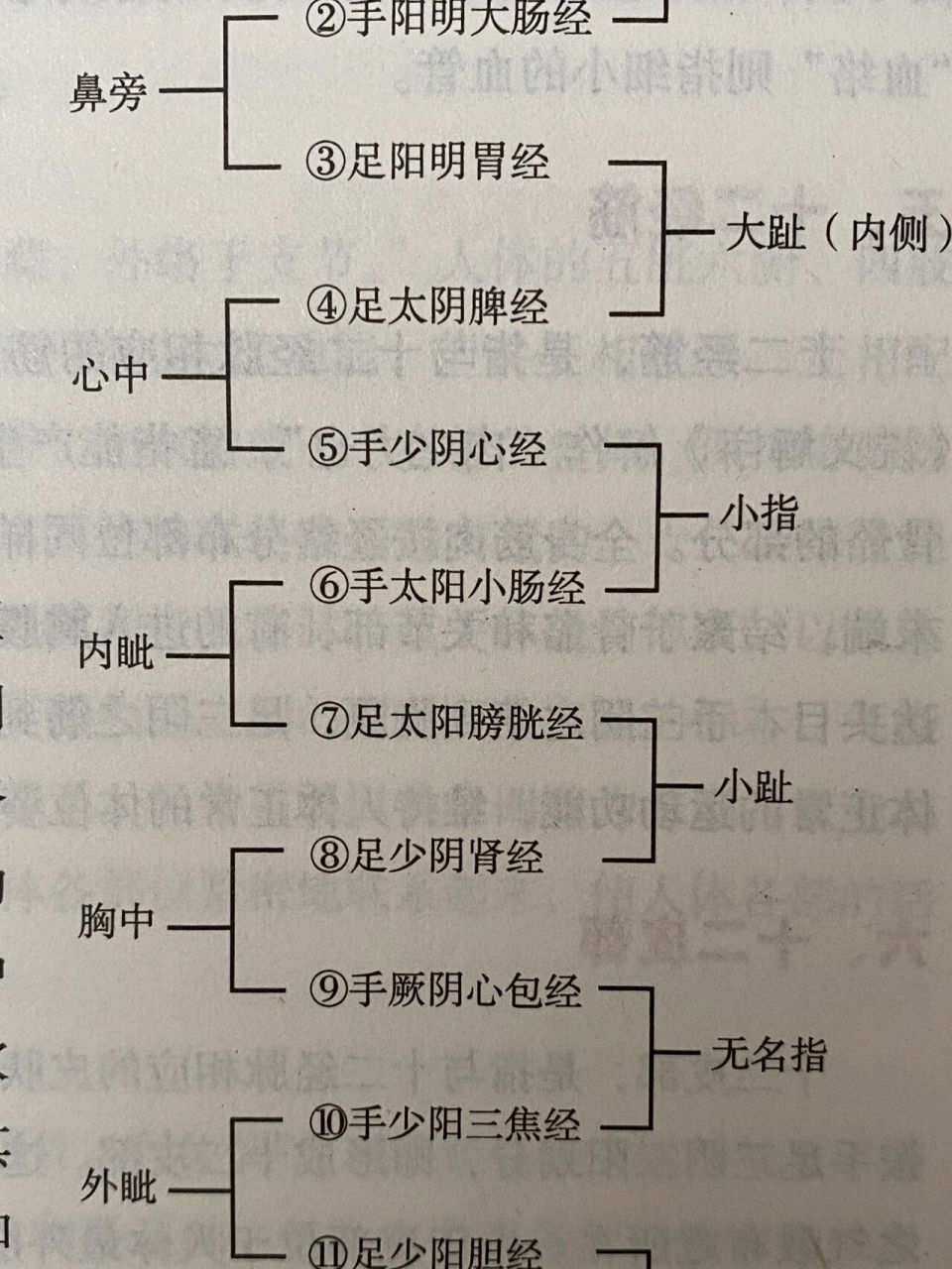神奇的十二经脉流注