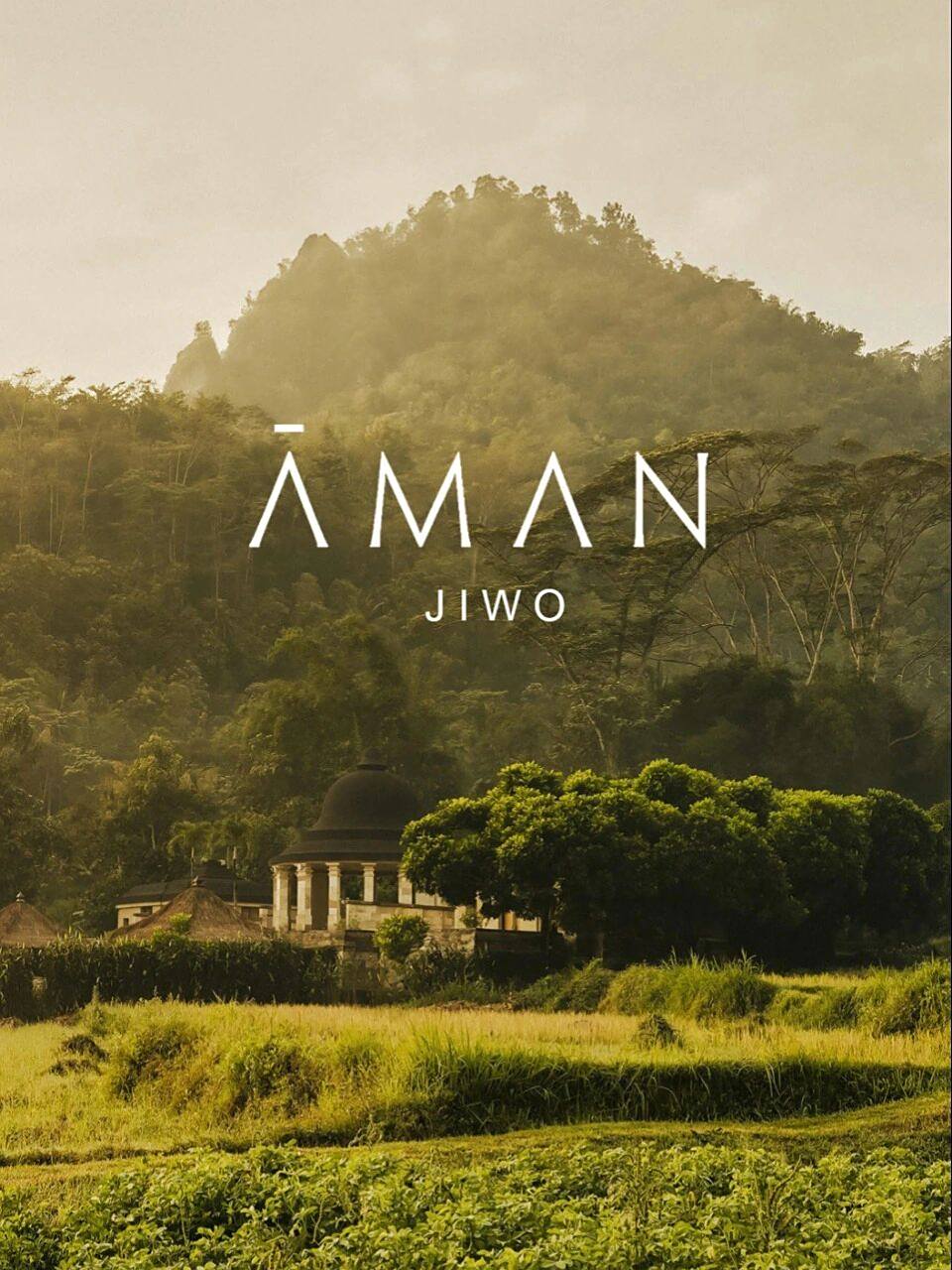 wuyu|印尼安缦吉沃   amanjiwo .