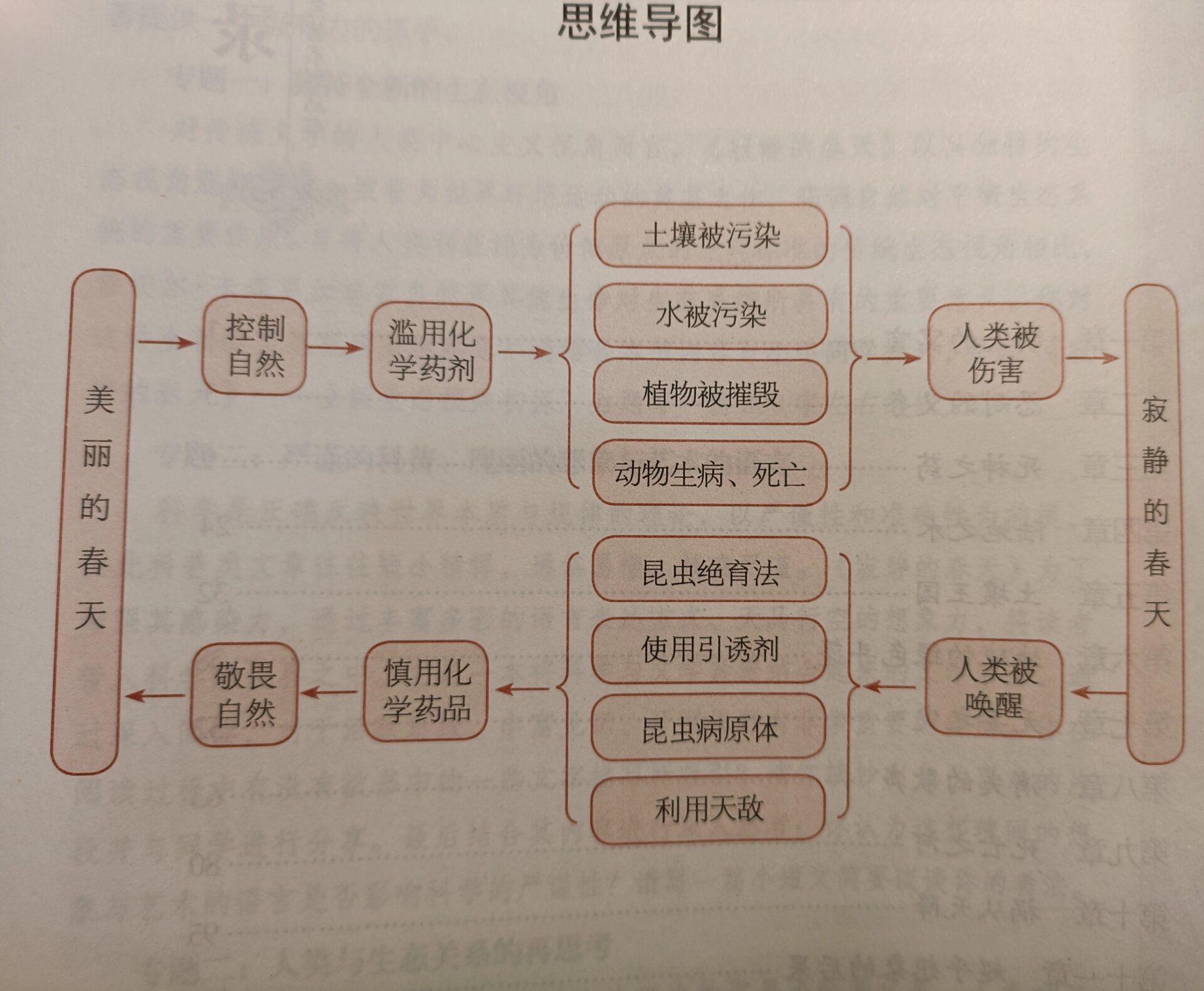 寂静的春天思维导图