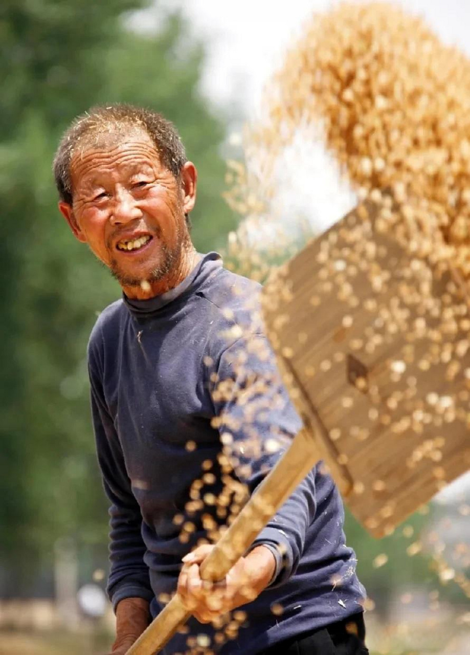 如何用一句话证明农民的辛苦不容易记得看过个节目"出彩中国人",有