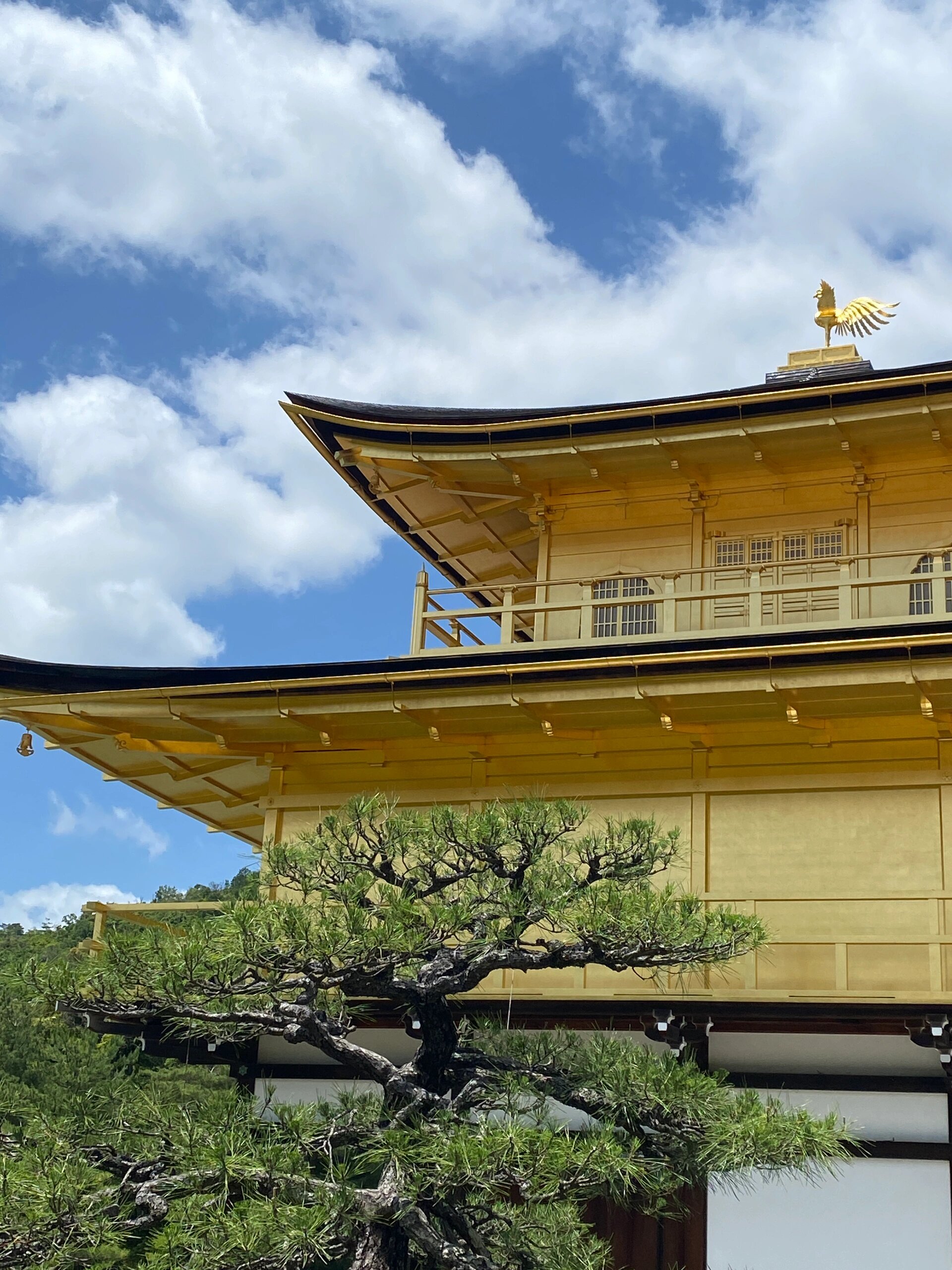 京都 | 三岛由纪夫笔下的金阁寺