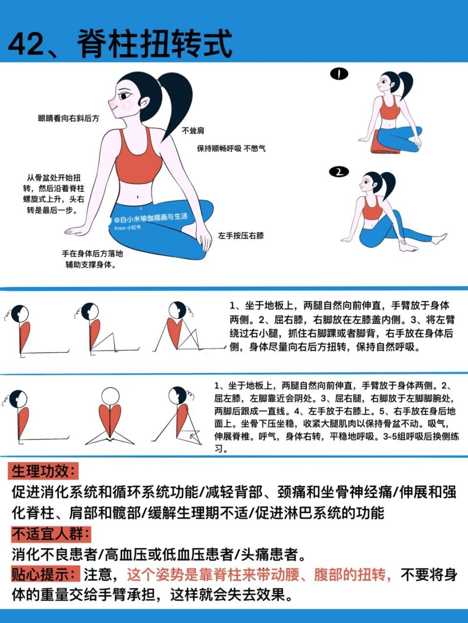原创瑜伽插画|瑜伽体式笔记—脊柱扭转式 #瑜伽插画# #白小米瑜伽笔记