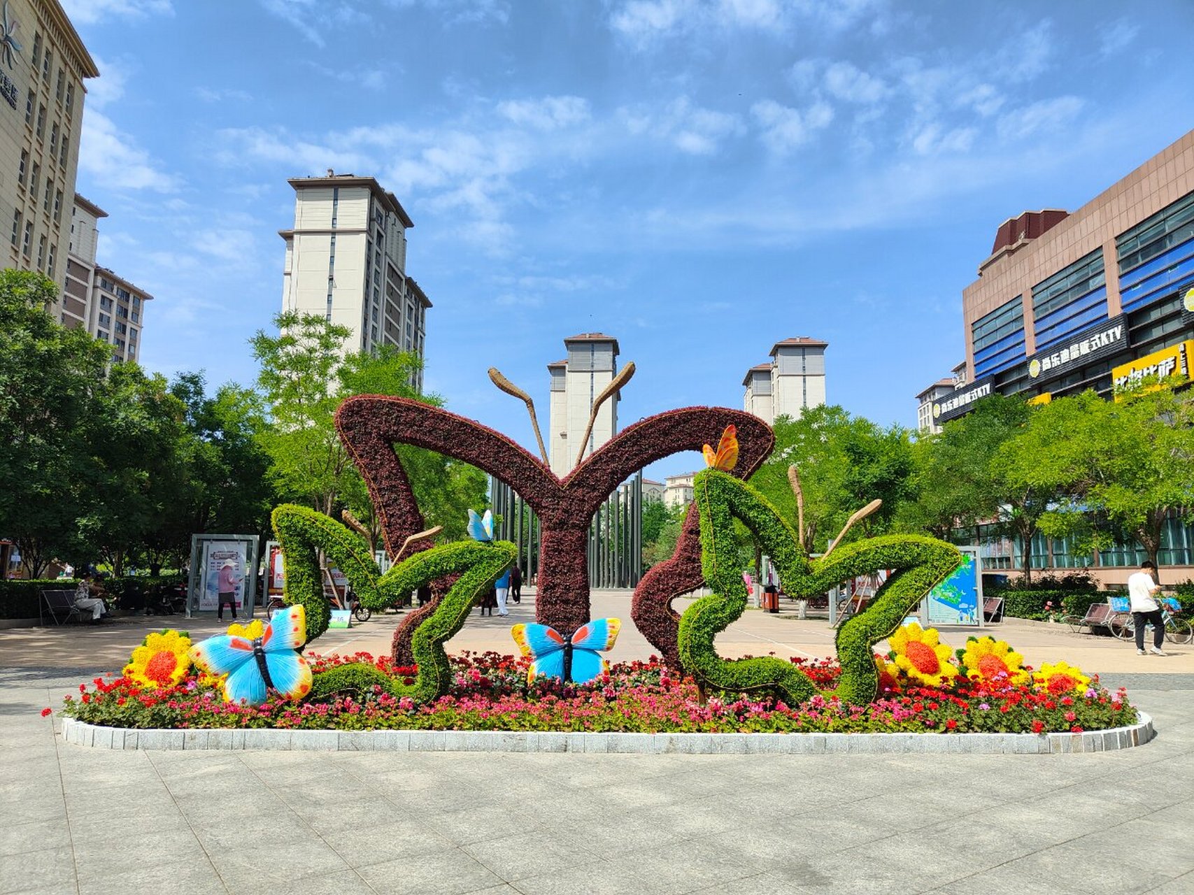 如何管理与养护五色草造型花坛呢?