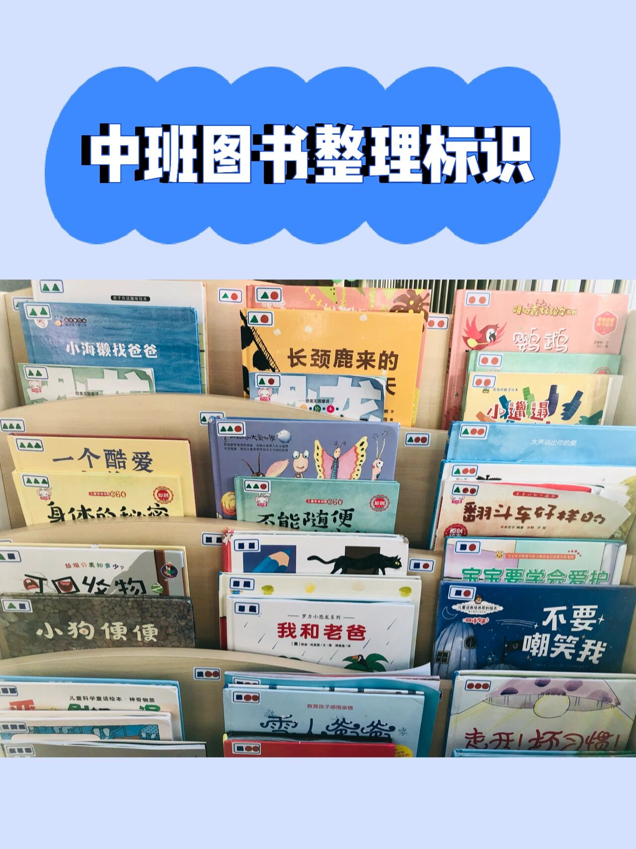 幼儿园中班图书整理标识