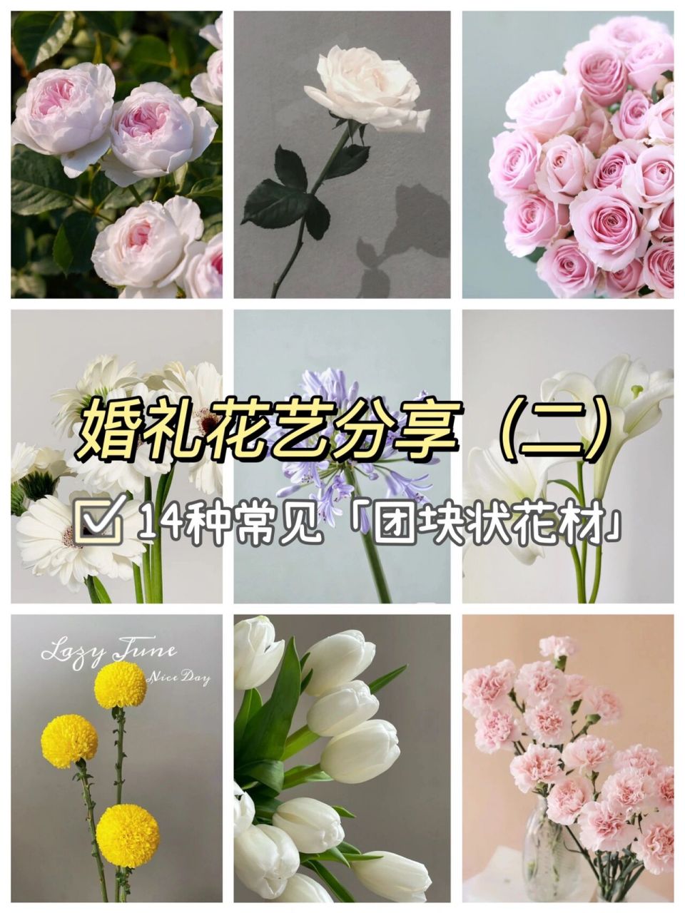 婚礼花艺分享2661514种常见【团块状花材】93 98 花材根据
