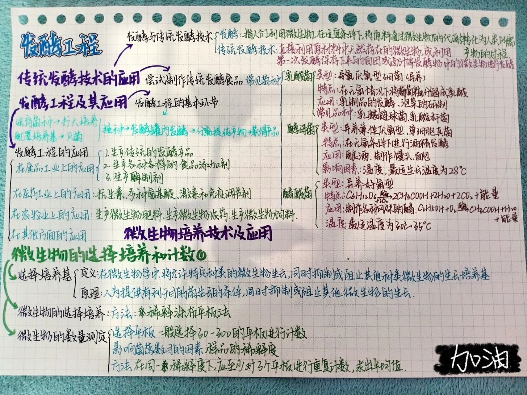 生物发酵工程思维导图 生物选择性必修三第一章发酵工程思维导图