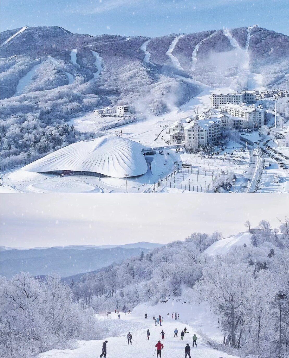 PG电子游戏- PG电子平台- PG电子官方网站雪山滑雪大冒险2好玩吗 雪山滑雪大冒险2玩法简介