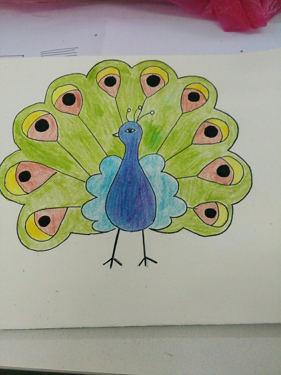 孔雀开屏 画不出孔雀羽毛那种质感,需要多加练习彩铅,就当简笔画随便