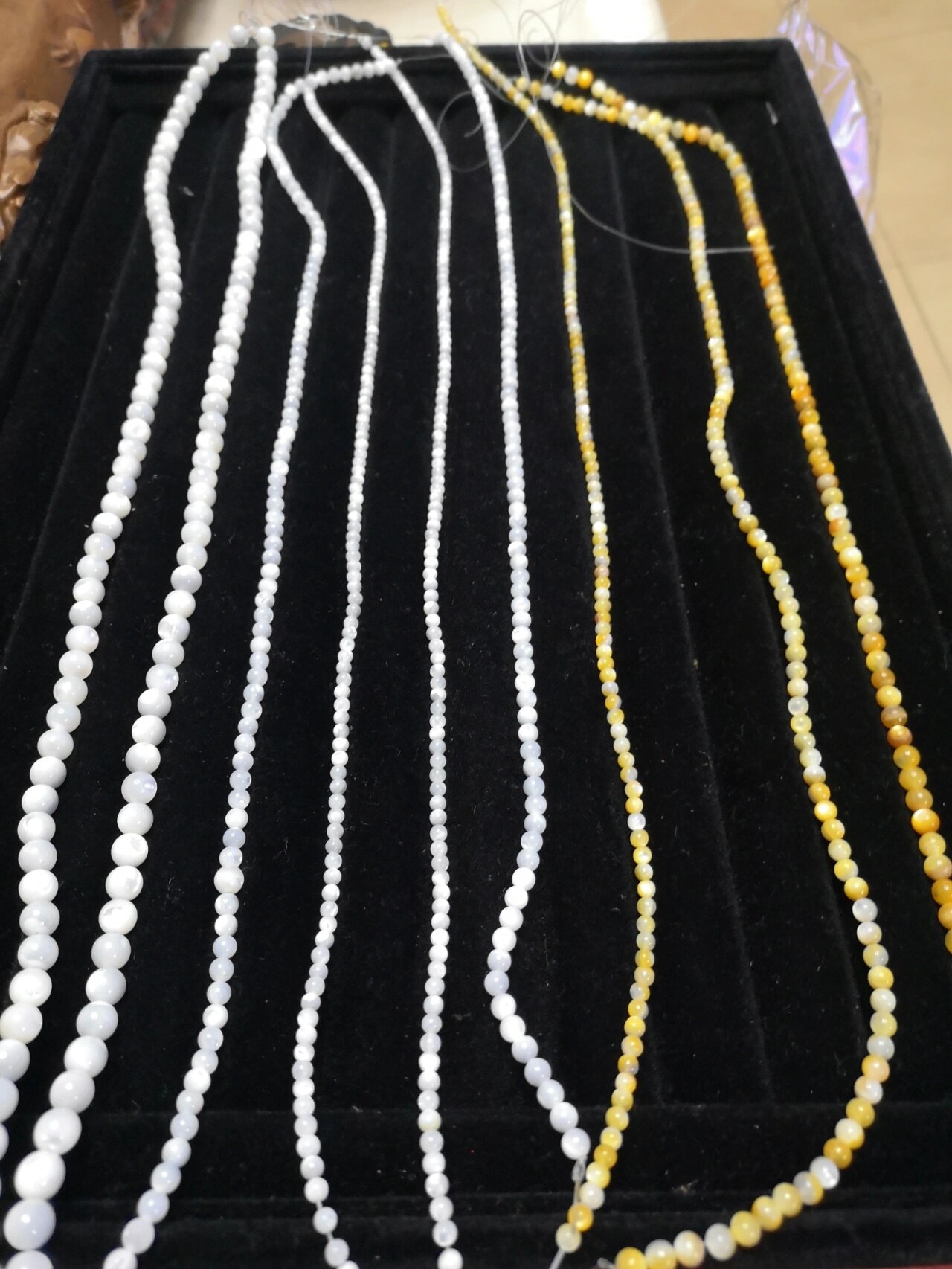 白色:天然马蹄螺贝珠 金色:天然黄金 碟贝珠 贝壳也能做成美美的珠子