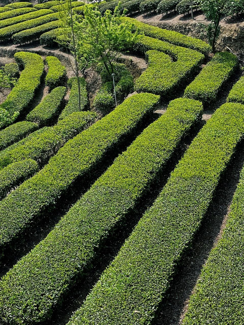 自贡桃花源|荣县石笋沟 简介: 石笋沟背靠高石梯森林公园.