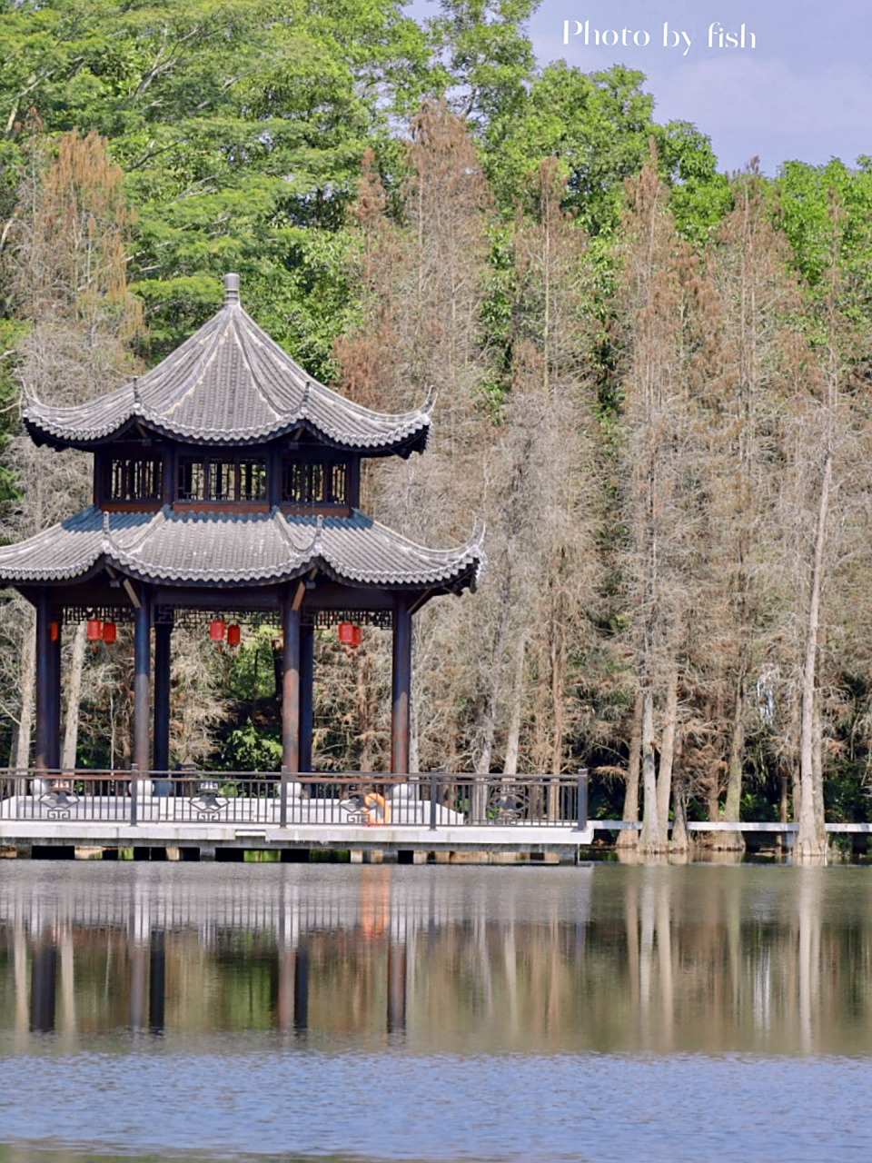 99打卡饶平绿岛山庄   好久没来绿岛了,风景秀丽!