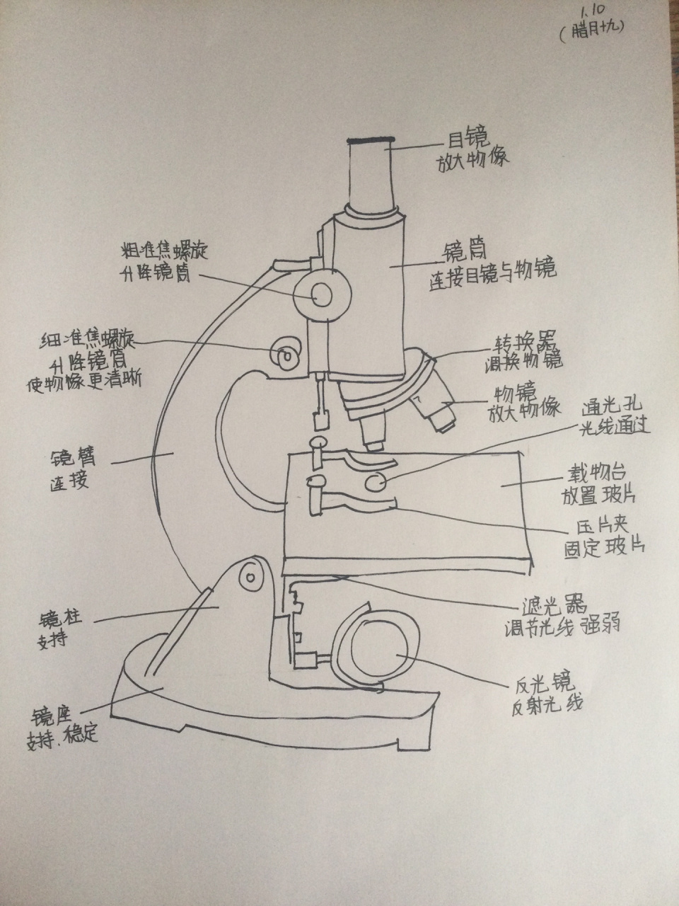 显微镜原理图解图片