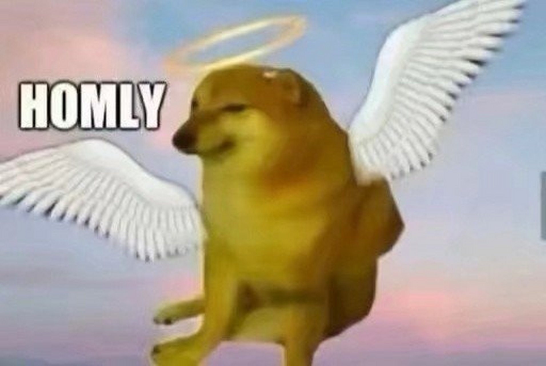 魔幻表情包分享   #世界真奇妙##一起读书吧