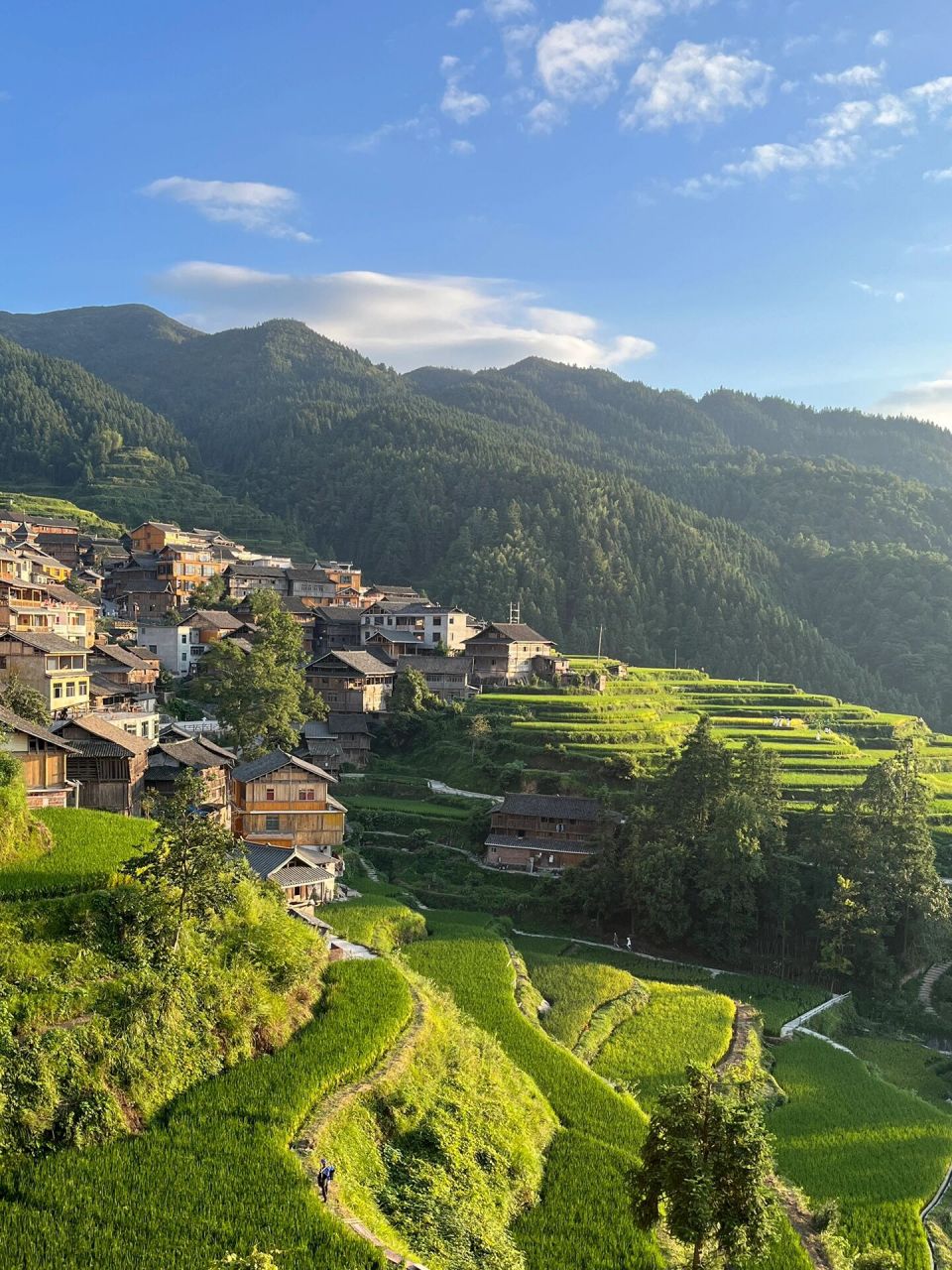 90堂安梯田 | 一场绿意邂逅 我们选择的是包车从肇兴侗寨出发 比起