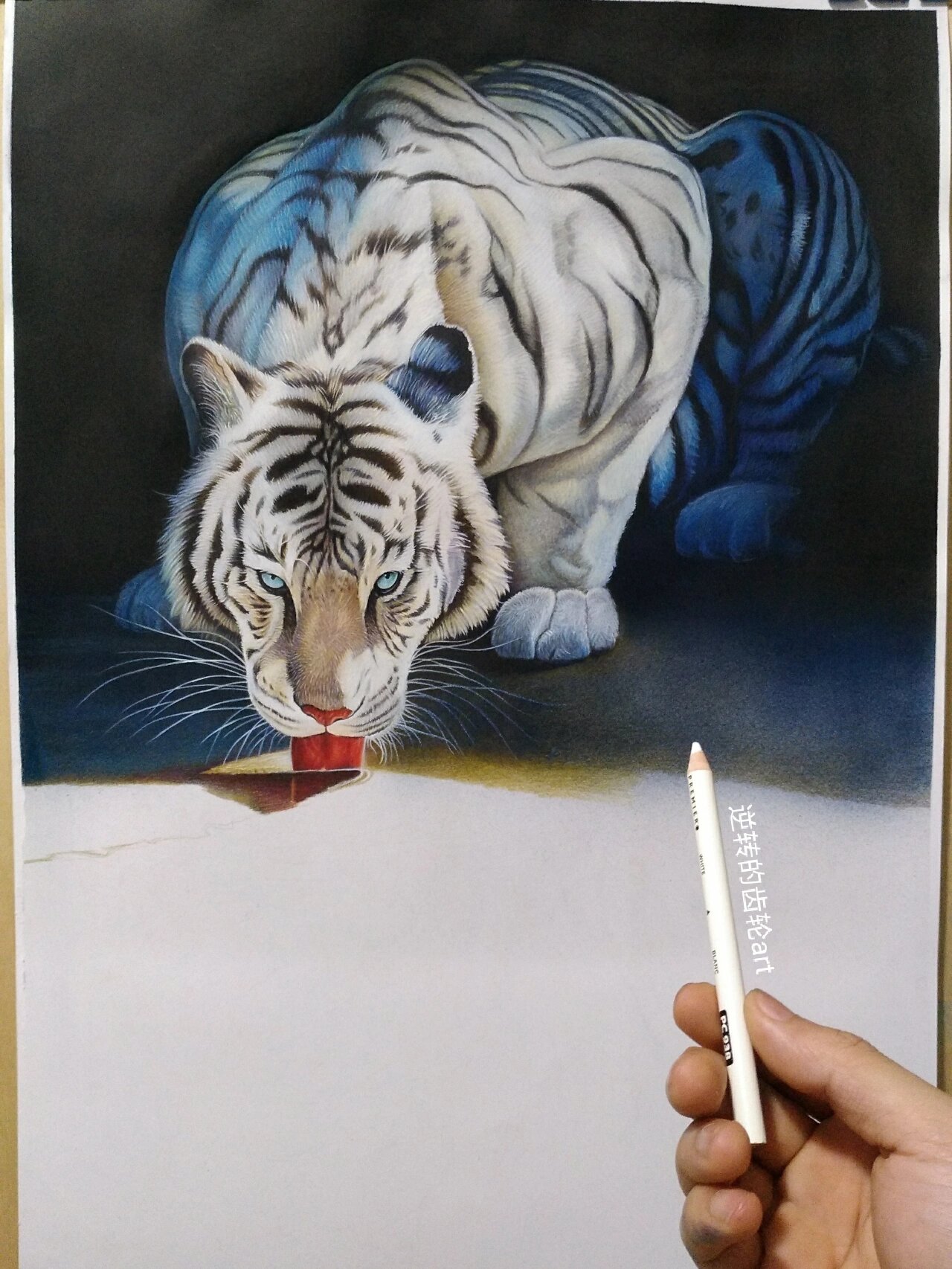 彩铅画一只白虎,半成品