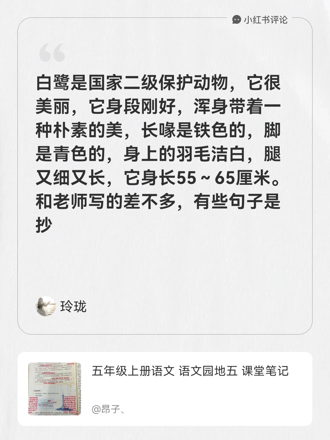 它很美丽,它身段刚好,浑身带着一种朴素的美,长喙是铁色的,脚是青色的