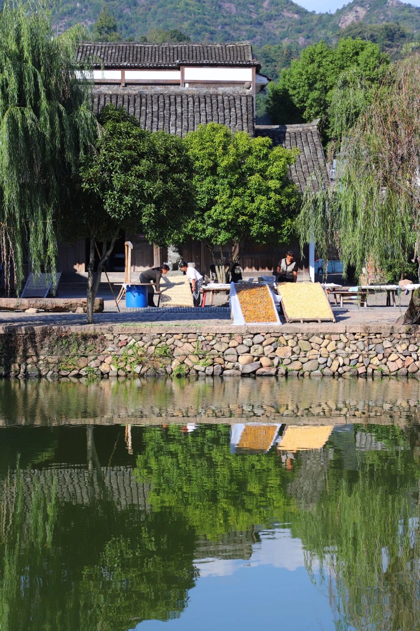 永嘉苍坡古村