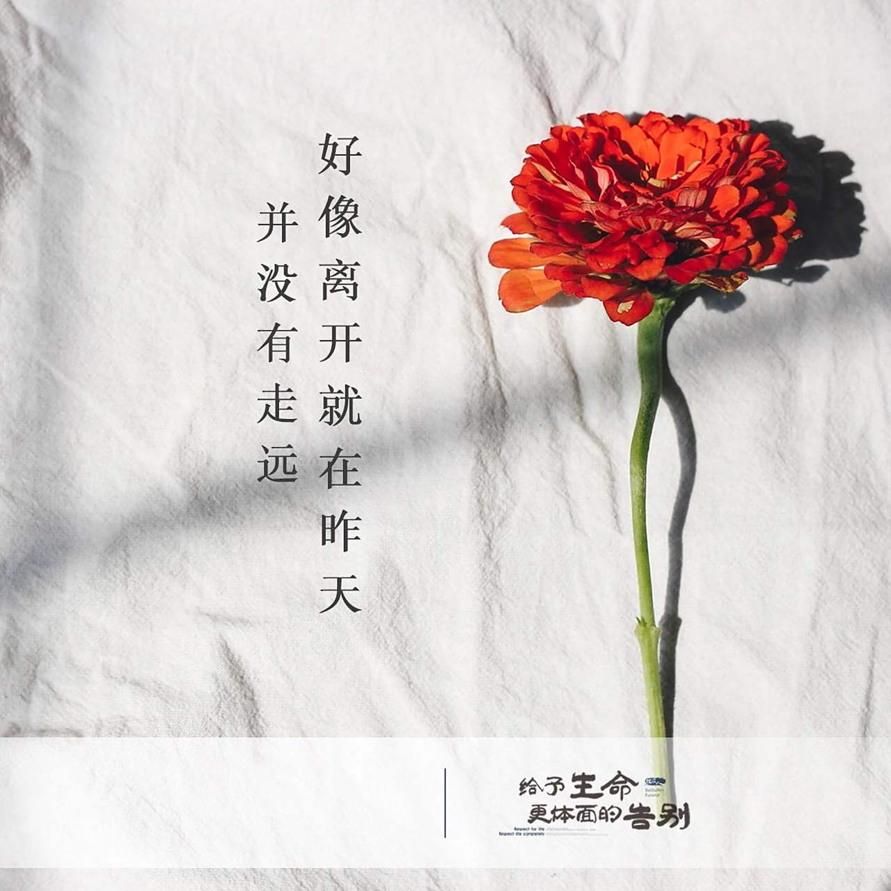 哪一张图更能代表"思念"?