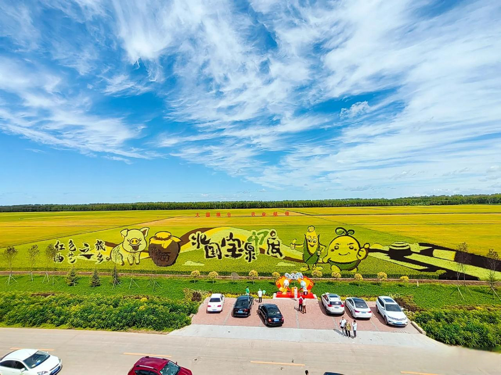 欣赏黑龙江宝泉岭军川农场稻田画示范区,巨幅水稻画无比壮观,北大荒