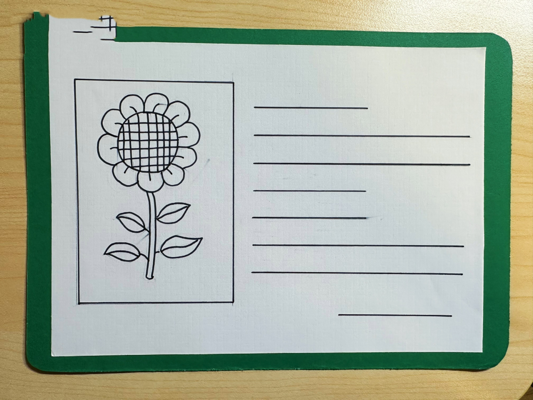 三年级下 语文植物记录卡片 小朋友做的植物记录卡片,分享给大家哦