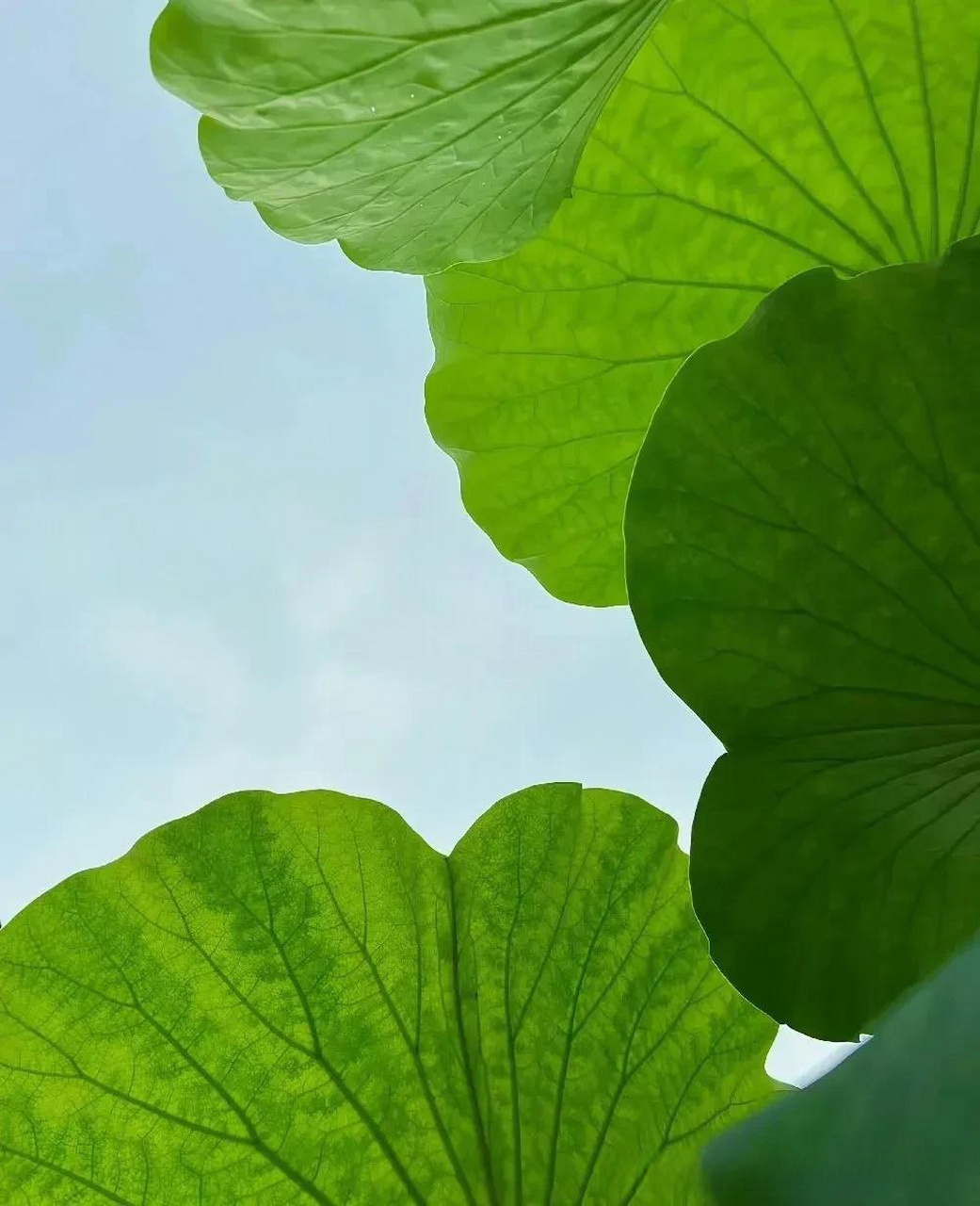 有时候,不是对方不在乎你,而是你把对方看得太重.