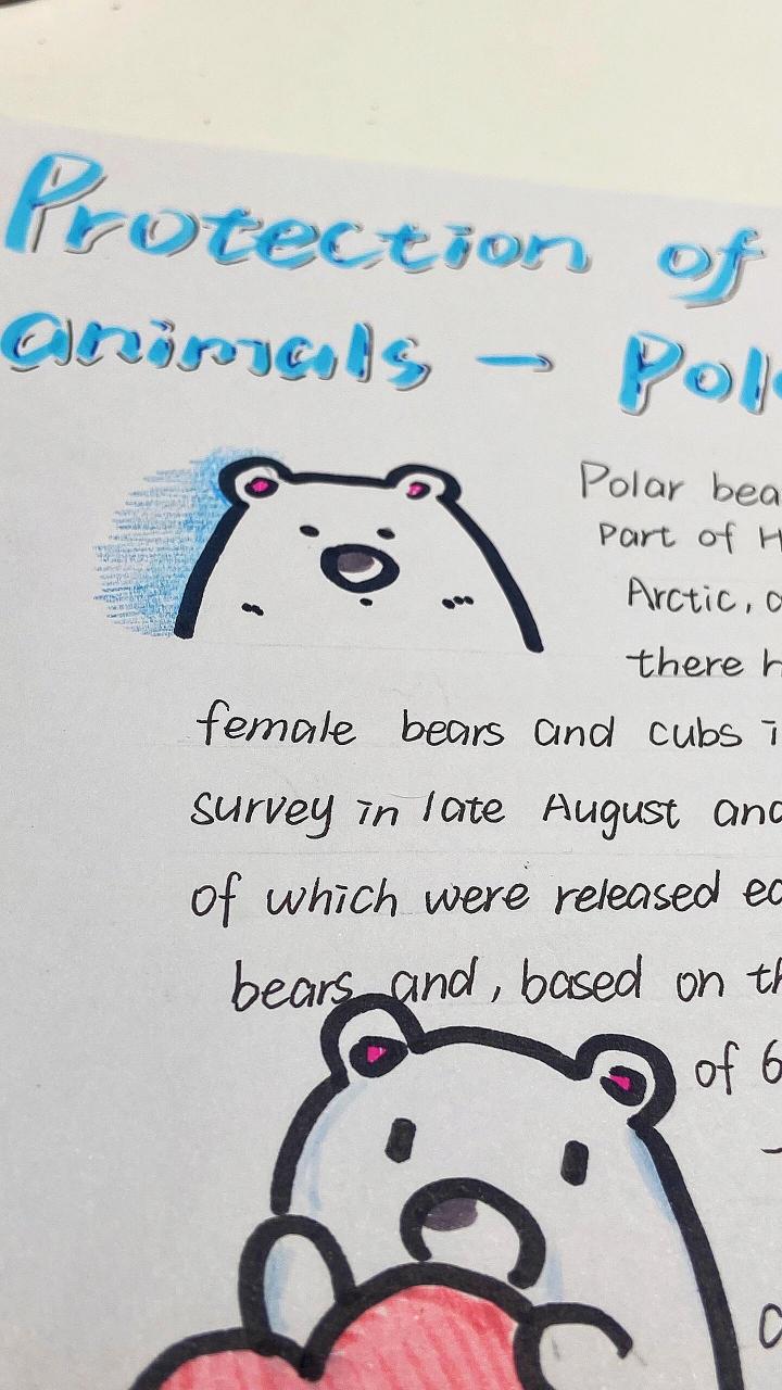 保护濒危动物—北极熊英文手抄报 保护濒危动物—北极熊英文海报素材
