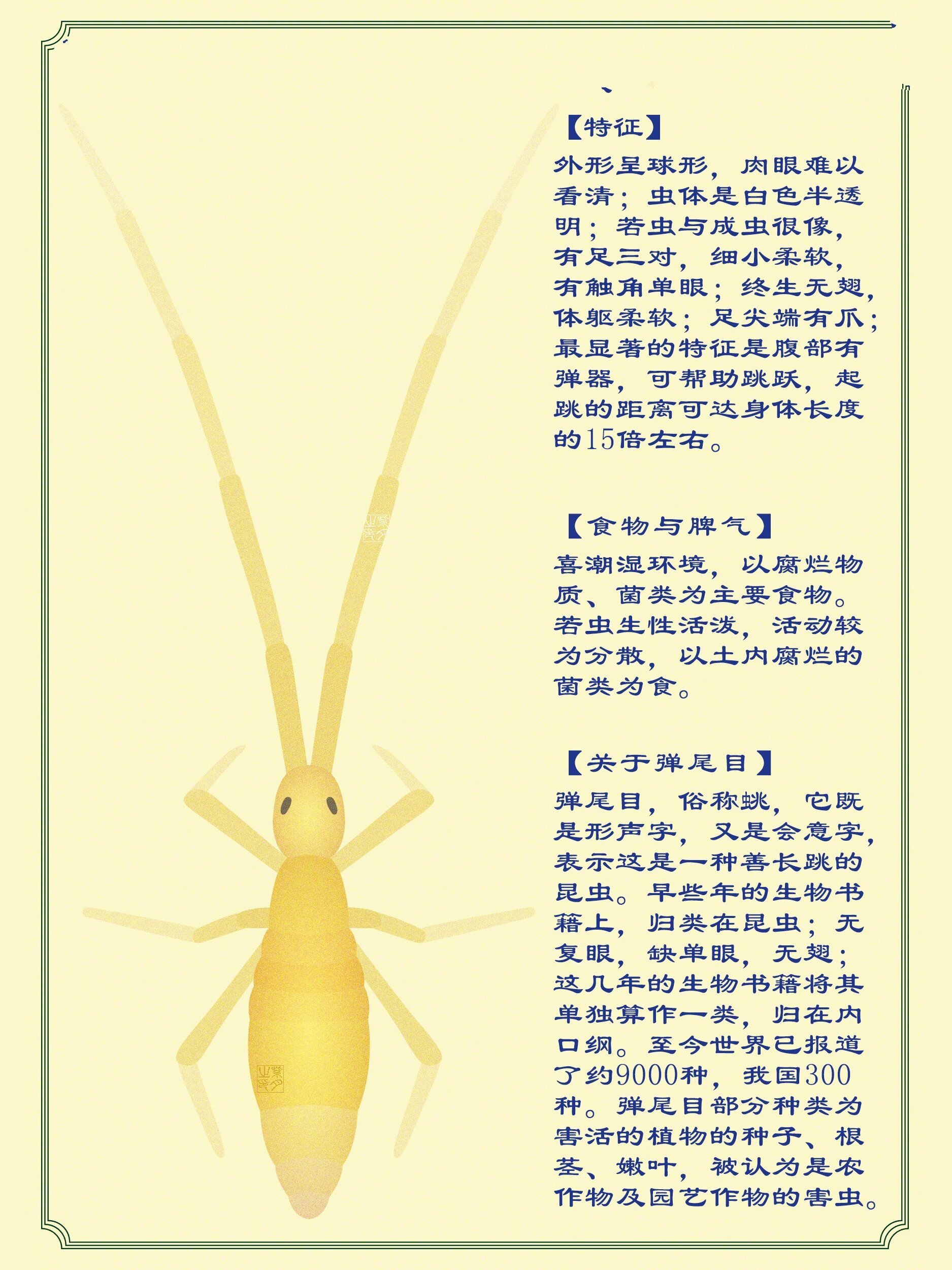 十大壮阳虫子图片