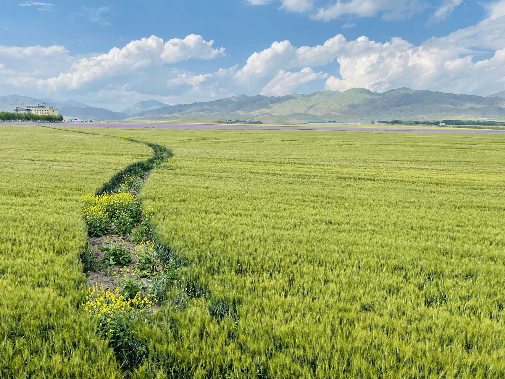 新疆7月底旅游突然中断 策划了很久的新疆西部伊犁地区旅行线路因为