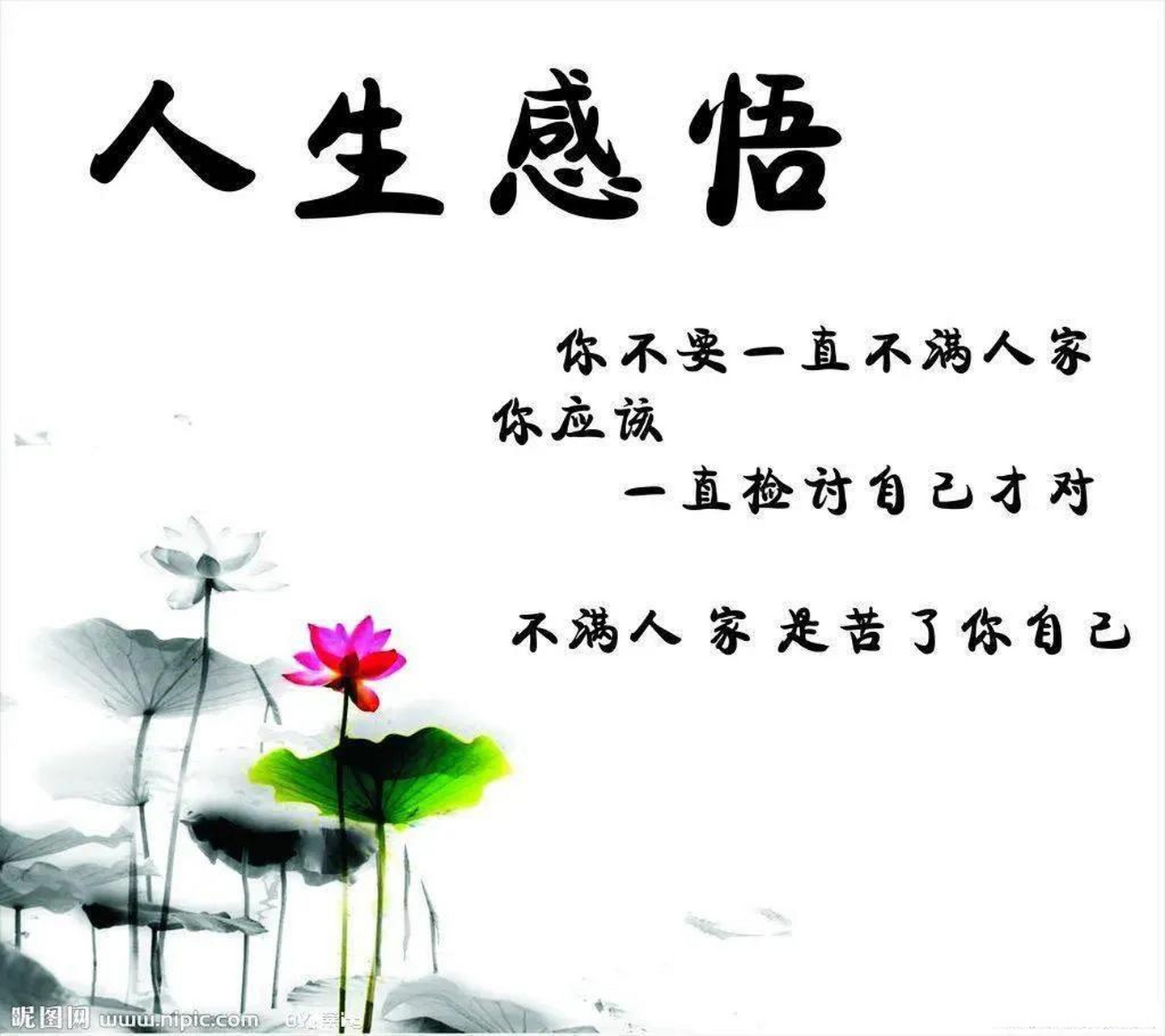 回想过去的人生,有过精彩,也有过失意.也悟出了很多的道理.