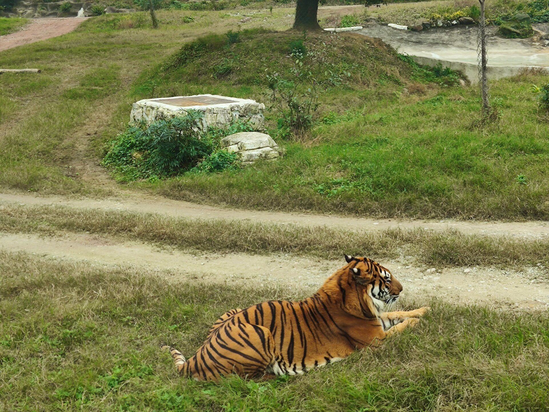 重庆周边游之—永川野生动物园