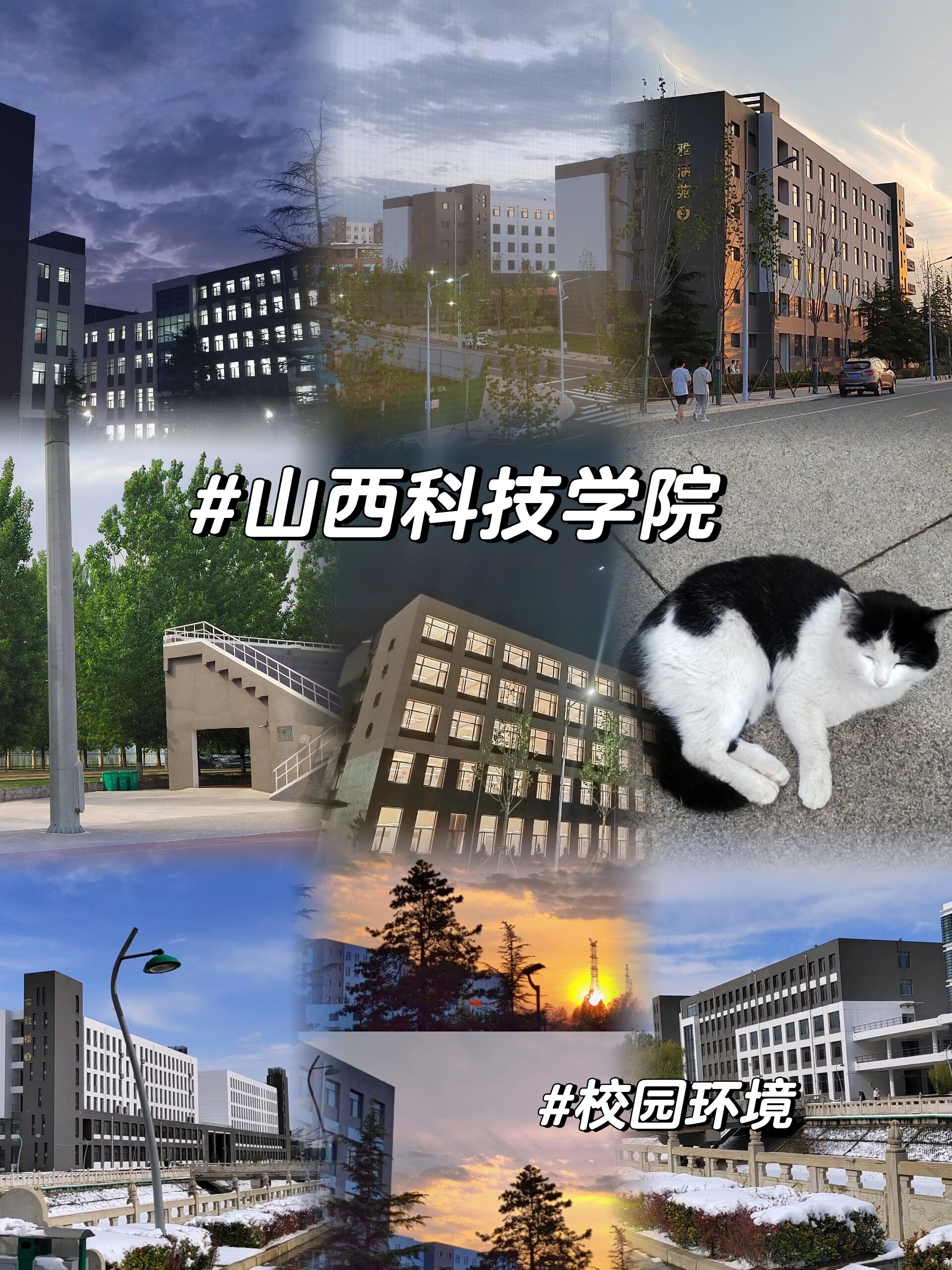 山西科技大学晋城学院图片