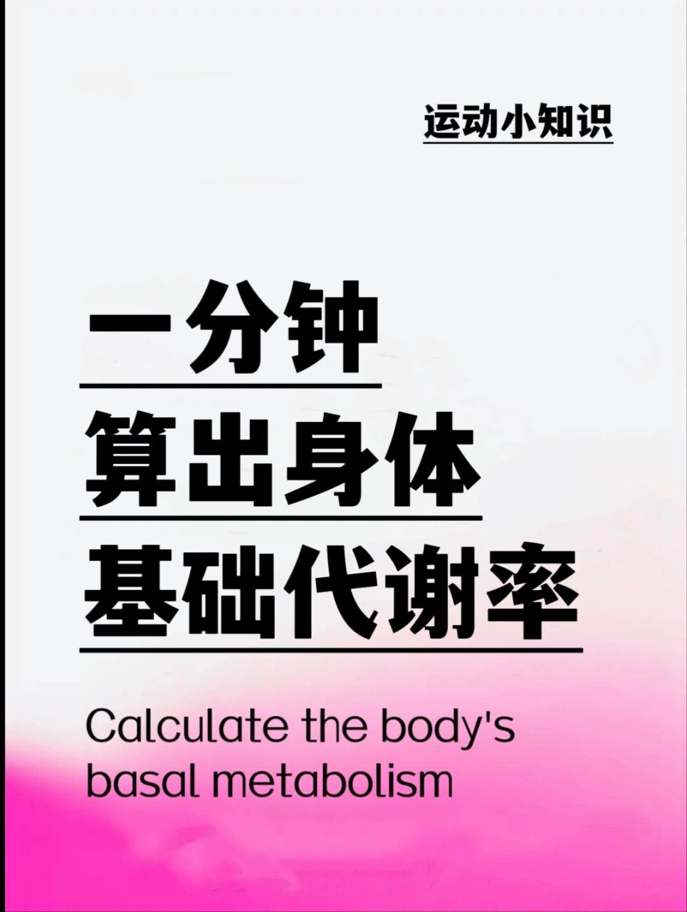 一分鐘算出身體基礎代謝率 什麼是基礎代謝?