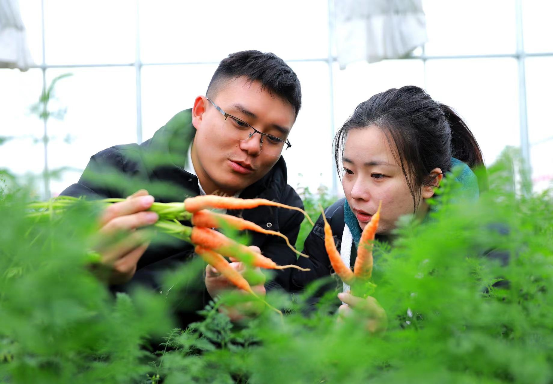 湖南常德的"90后"夫妻申宗昌和李能从零学起,完善农场有机农业的全
