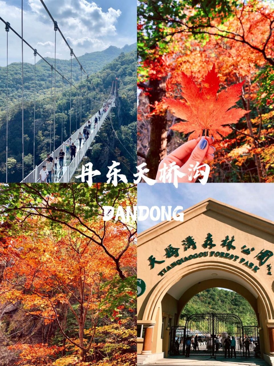 丹东周边出游 |丹东天桥沟森林公园 05国家aaaa级旅游景区,丹东特色