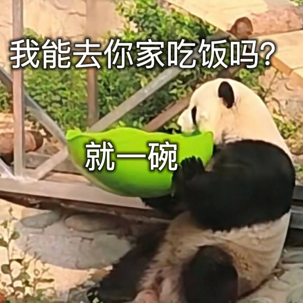 做了个好大儿表情包~我能去你家吃饭吗?