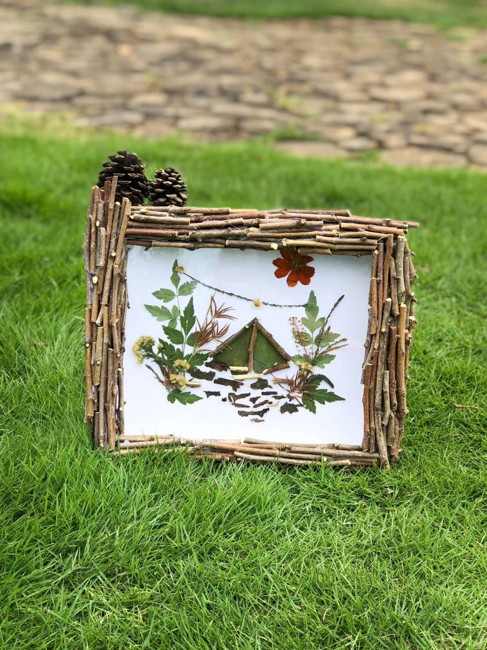 夏日宅家手工,0成本diy植物拼贴画相框!