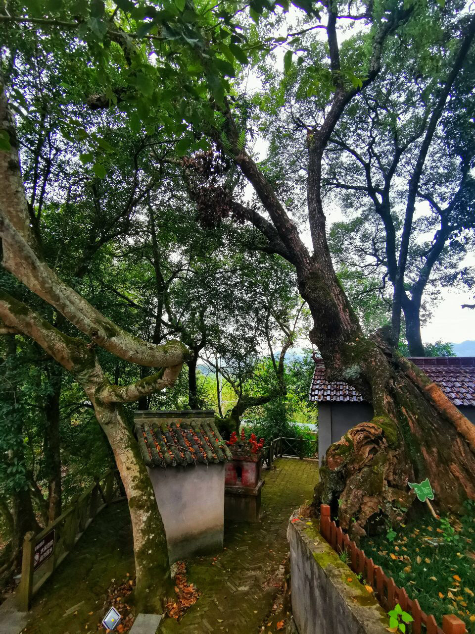 周末游 | 闽北美丽乡村——建瓯市小松镇湖头 湖头村位于建瓯市小松镇