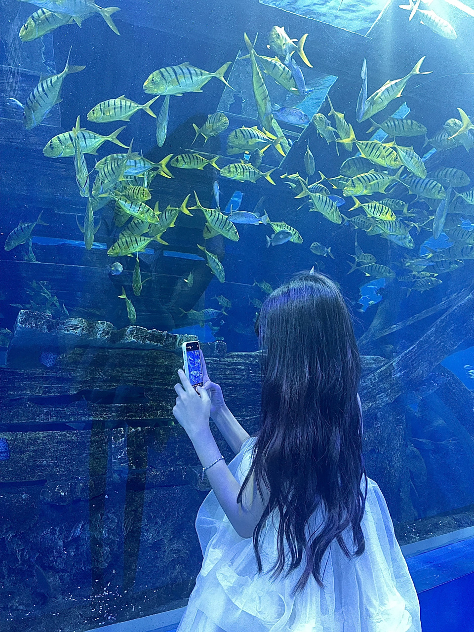 无锡必打卡的海洋馆95不允许有人还没去过6015 海洋馆里有什么