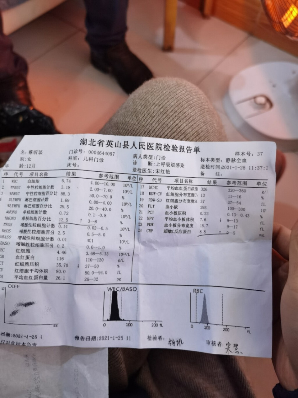 单核细胞百分比高,c反应蛋白升高,这到底是细菌感染还是病毒感染,网上