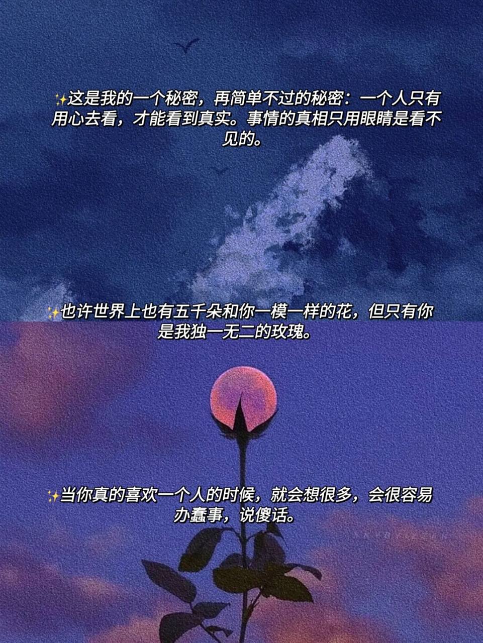 《小王子》浪漫语录 78因为是心甘情愿地沉溺,即使死亡也无须被拯救