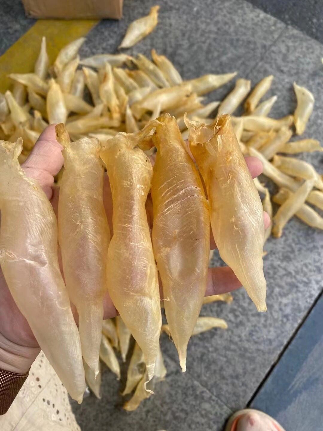 印尼蜘蛛太贵,可以尝试入手这款越南蜘蛛胶 价格更实惠,口感酥61!