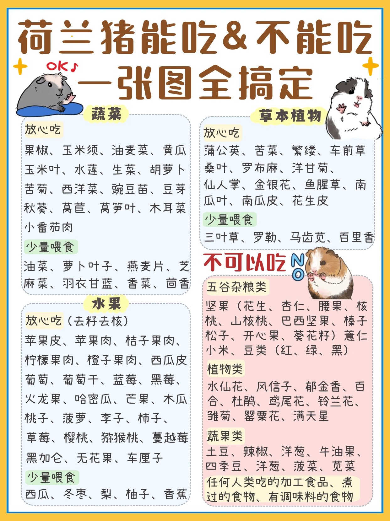 一张图搞定7399荷兰猪能吃&不能吃99