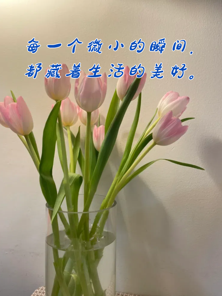 暖心句子唯美简短 哈喽!大家好!