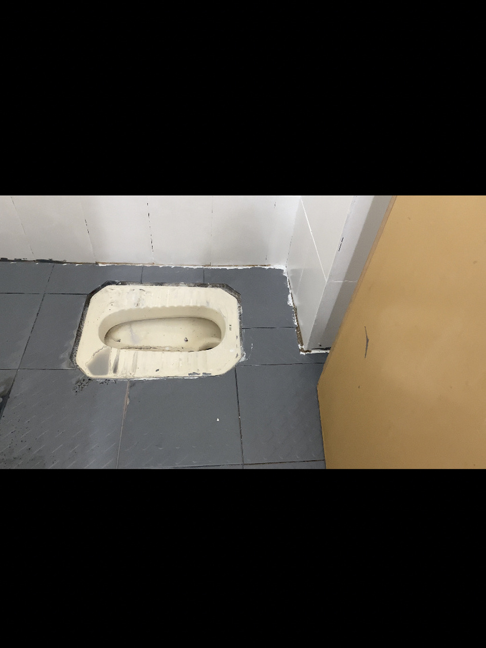 猫砂膨润土堵厕所 我简直太厉害了,看了的神器操作,十几分钟解决堵