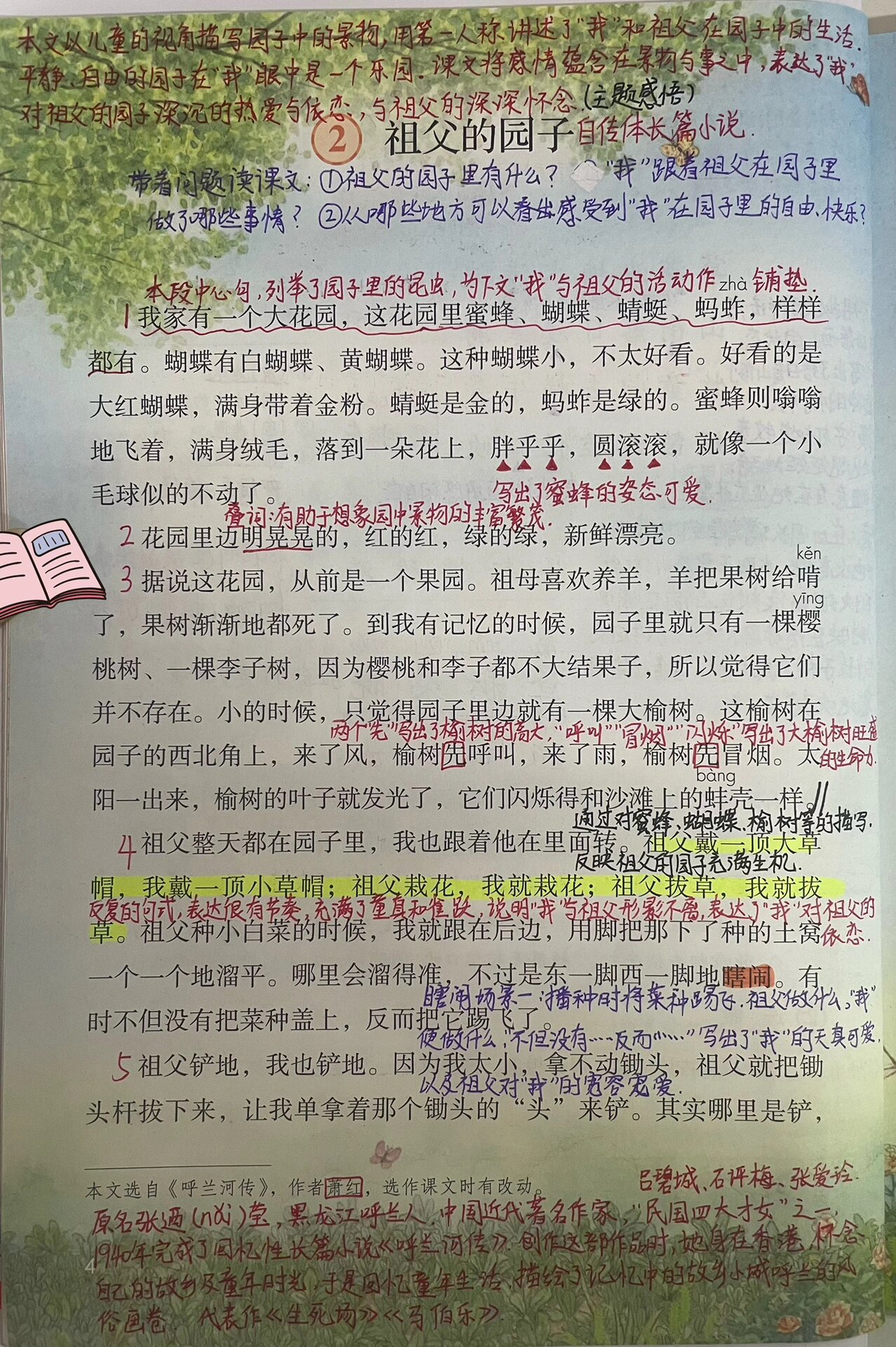 祖父的园子的笔记图片