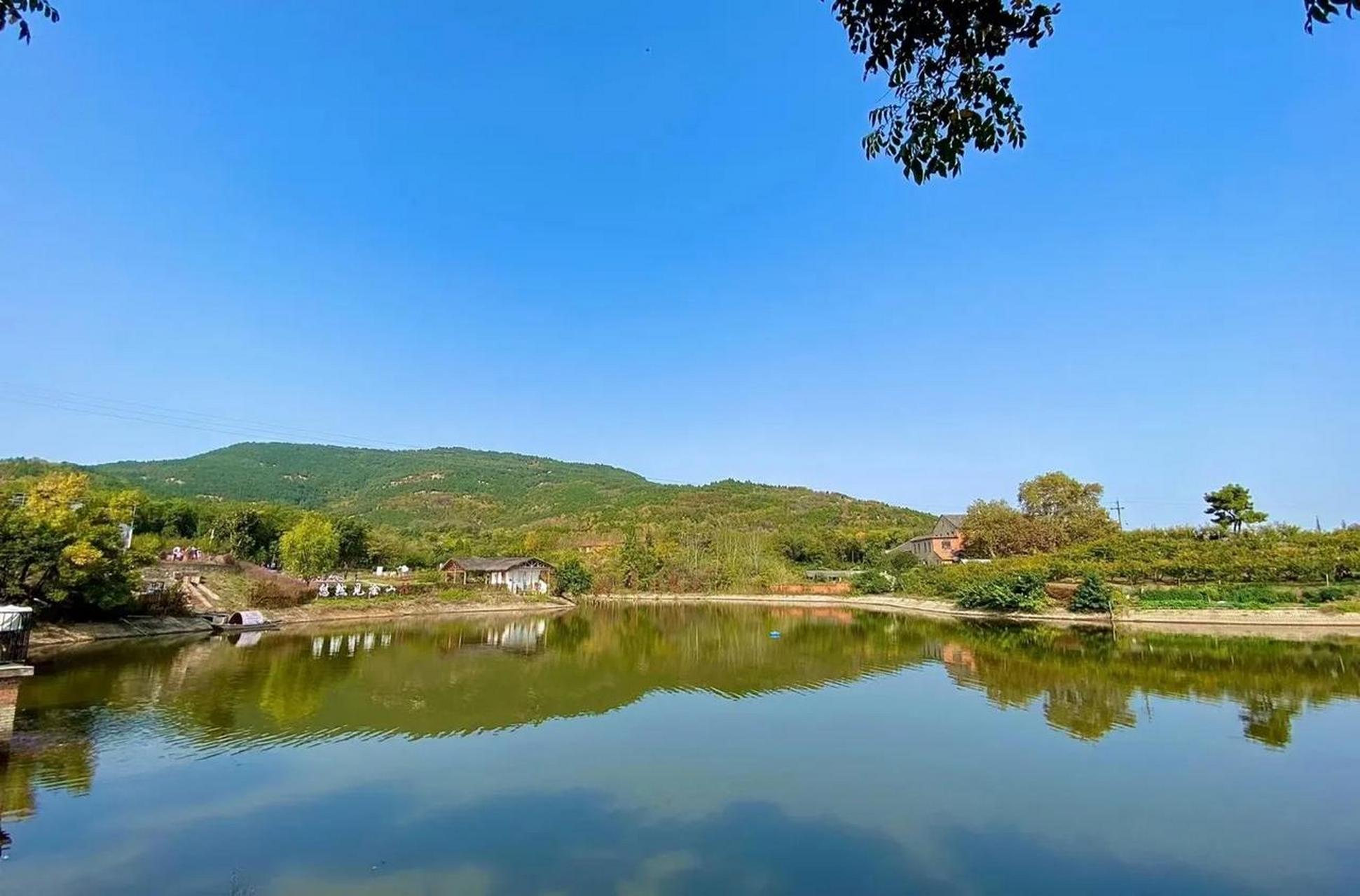 打卡霜降送走秋蚌埠市涂山的禾泉小镇菊花竞相绽放,万紫千红,五彩缤纷