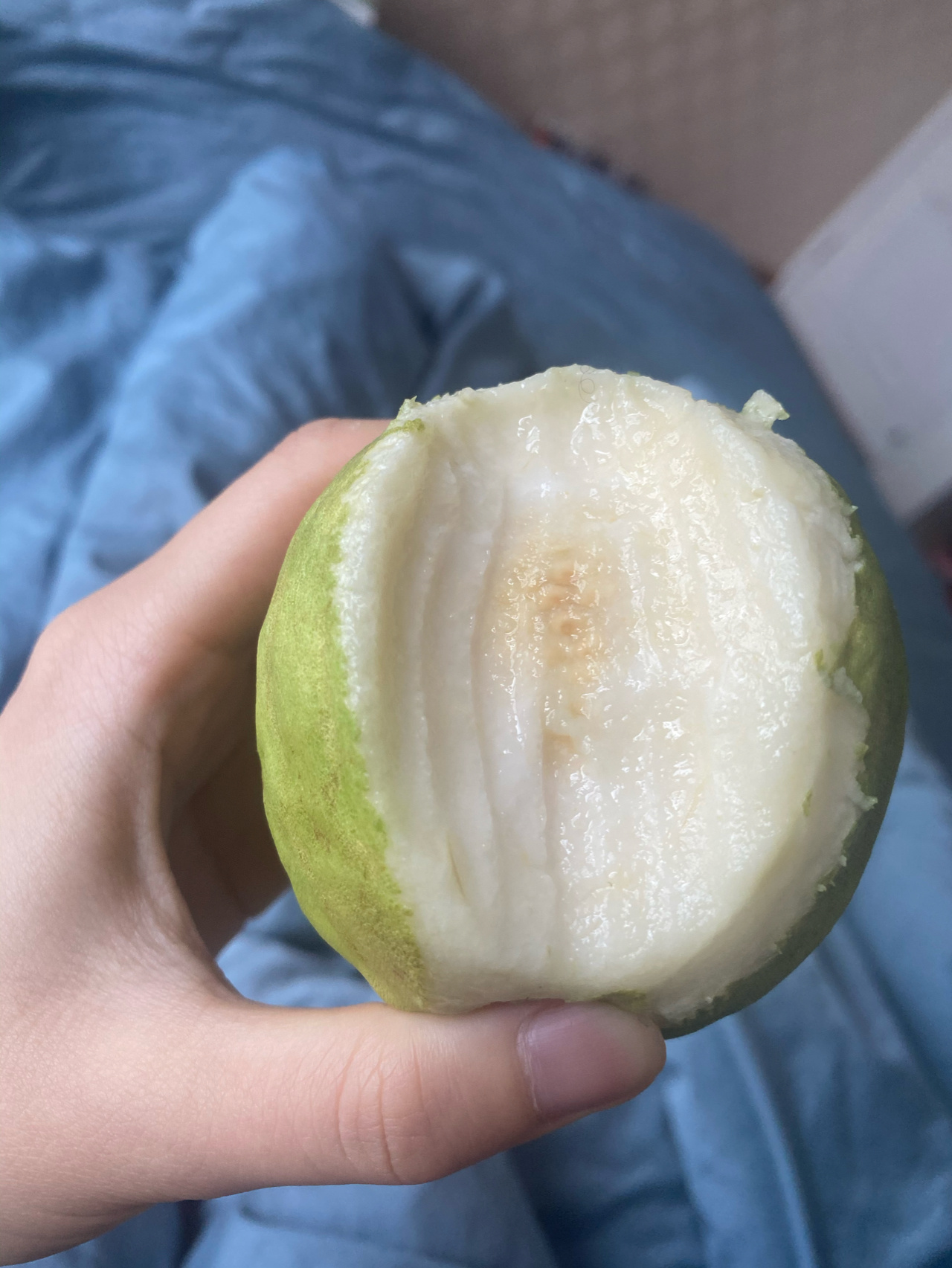 看小红书上说芭乐的籽直接吃,味道很好,我怎么咬起来这么硬啊,硌笛览