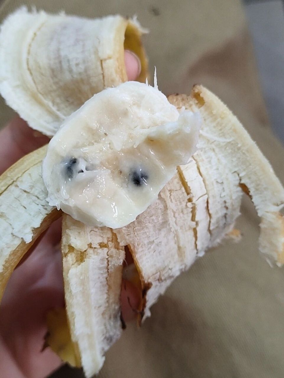 请问这是什么香蕉呀? 请问这是什么香蕉呀?